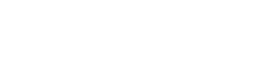 舞台 ― 日本を揺るがした激動の時代〈幕末〉！！主人公 ― 坂本龍馬と西郷隆盛！！新時代を創った男たちは、本当に英雄だったのか？新たな解釈の幕末劇、誕生ぜよ！！でごわす！！
