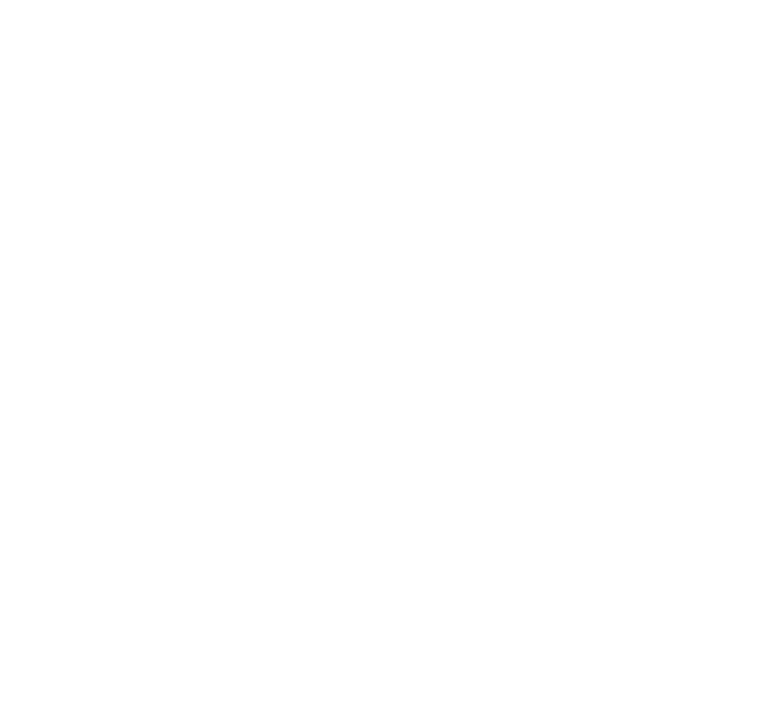 今から150年前、日本の未来を変えるため、のちに幕末のヒーローと呼ばれる男・坂本龍馬と西郷隆盛が立ち上がった。革命的な出来事が繰り返される激動の時代を経て、物語はやがて２６０年続いた江戸幕府の終焉と、新しい〈ニッポンの夜明け〉へとつながっていく！そこには、誰も想像し得なかった、〈戦い〉と〈友情〉の物語があった。