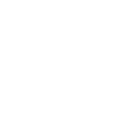 誰も知らない、夜明けぜよ。でごわす。