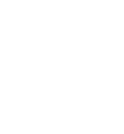 誰も知らない、夜明けぜよ。でごわす。