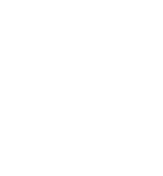誰も知らない、夜明けぜよ。でごわす。